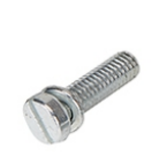 100 Screw M6x20