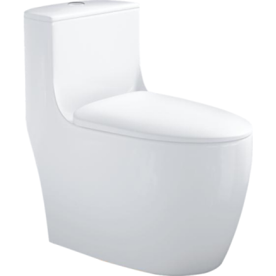 超漩式座便器 6620