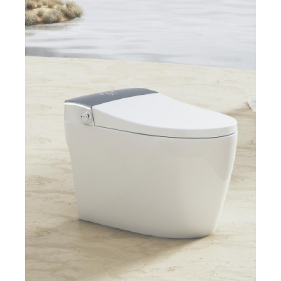 智能座便器 872BSA