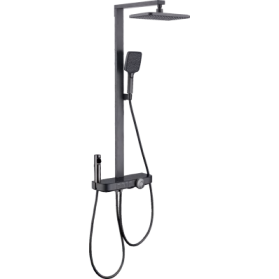 Shower head F50419Q/F50419W